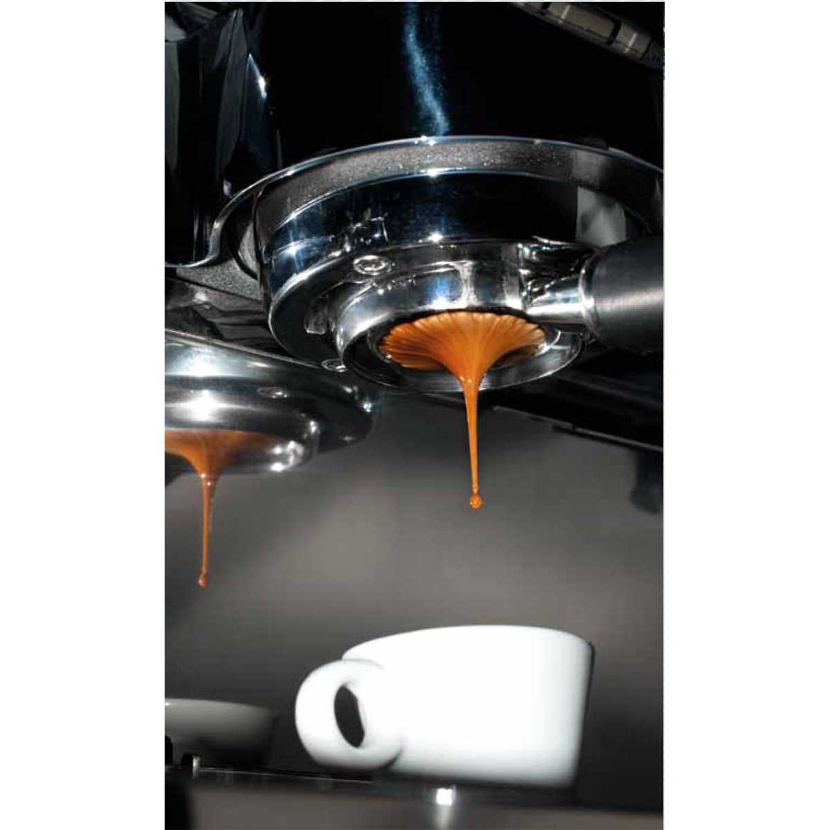 Кофемашина рожковая автоматическая VICTORIA ARDUINO VA 388 BLACK EAGLE GRAVIMETRIC 3 GR, 380 V, STEELUX